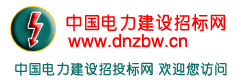 中国电力建设招标网it